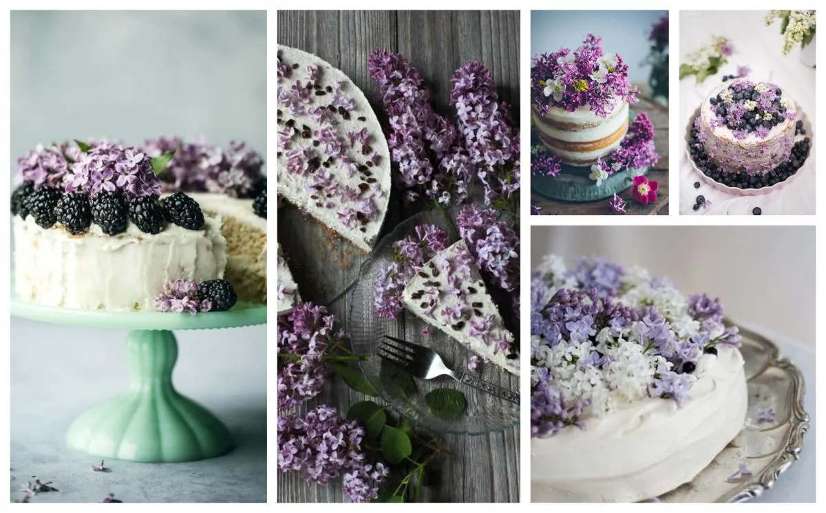 róże bratki lawenda na torcie