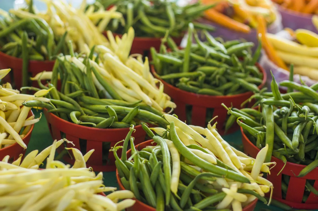 Świeża fasolka szparagowa zielona i żółta