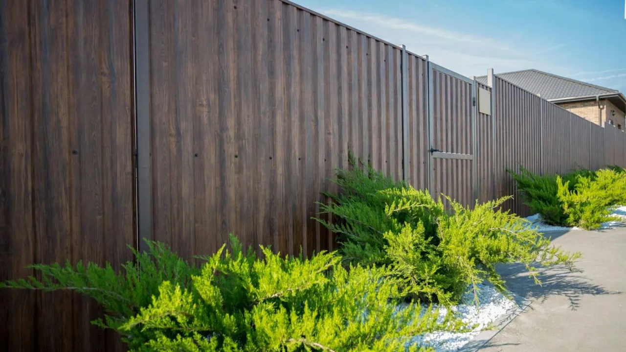 Rośliny pnące na ogrodzeniu prywatność