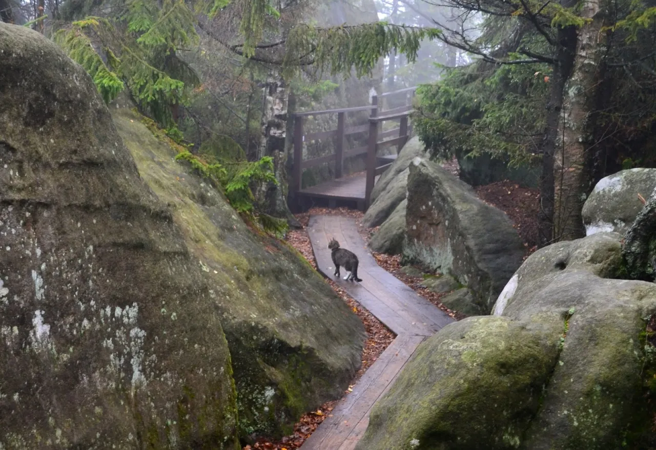 Szczeliniec Wielki labirynt skalny