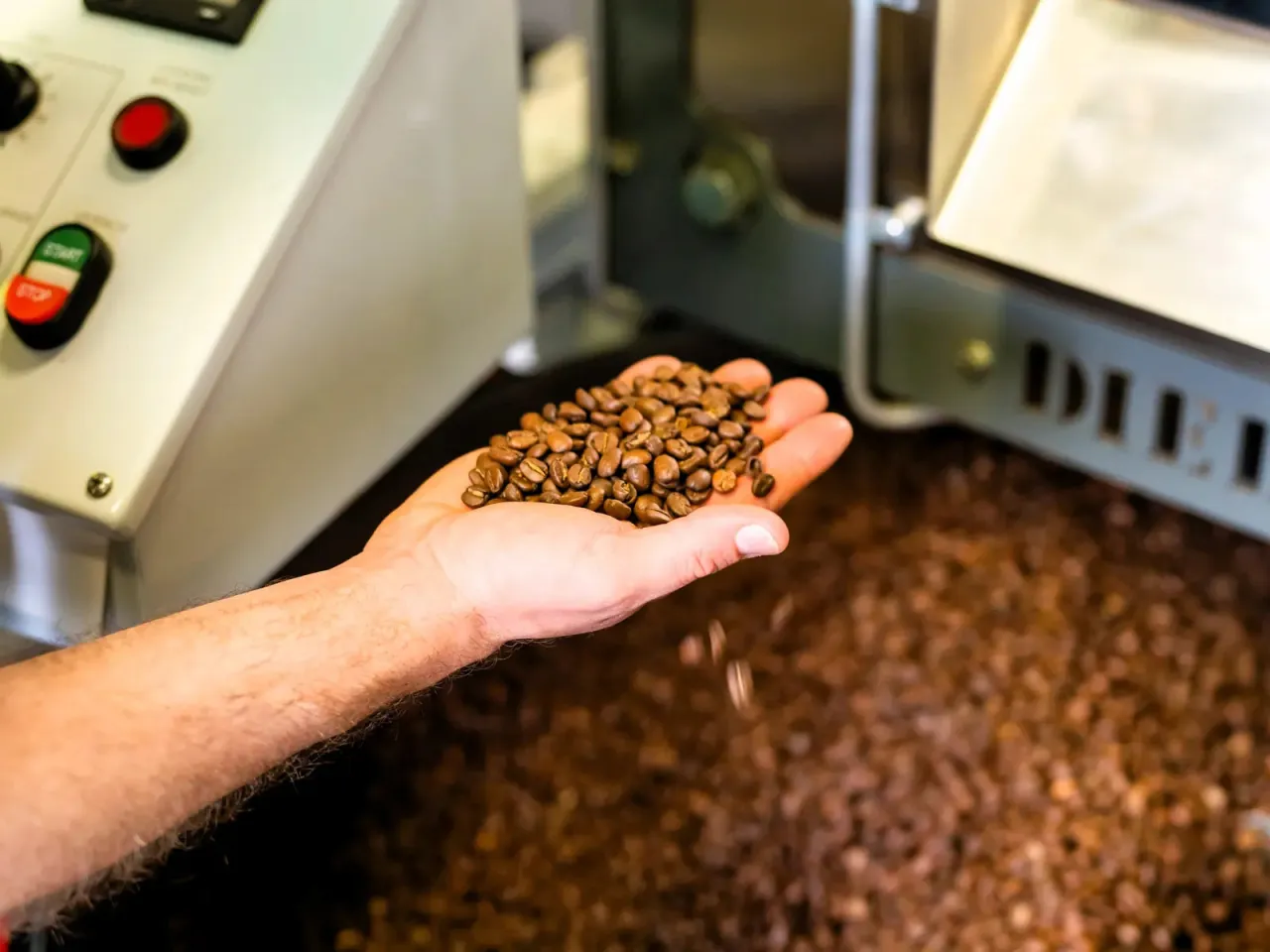 doza kawy gramy na porcję infografika