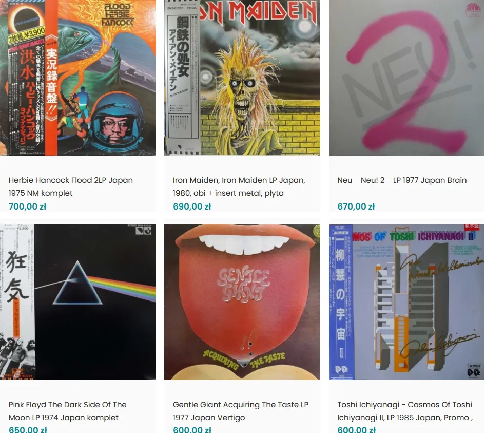 różne gatunki muzyki elektronicznej na płytach winylowych