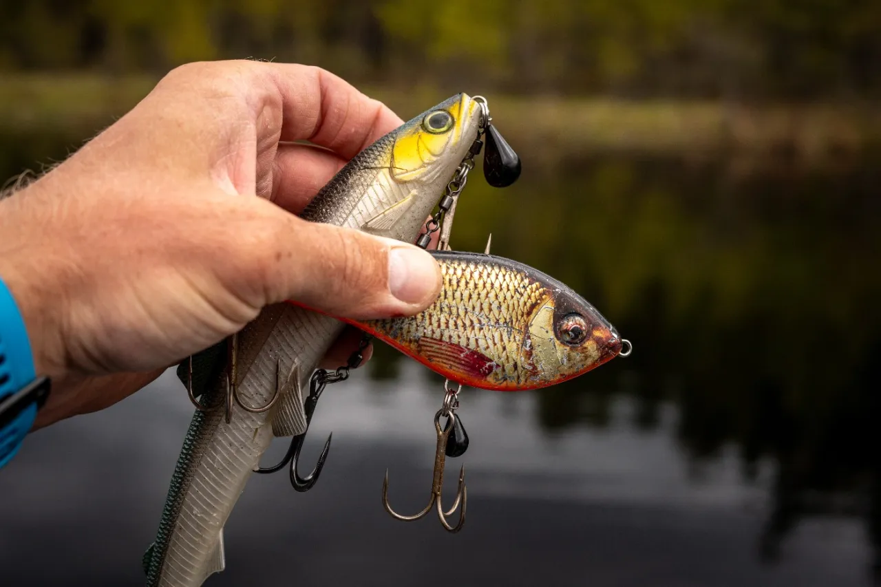 Dłoń trzyma dwie realistyczne przynęty na ryby, imitujące małe rybki. Idealne, by złowić drapieżnika.