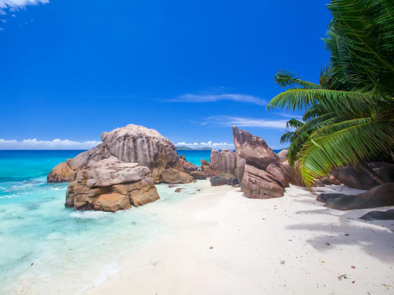 R&oacute;żne typy podr&oacute;ży: wakacje na plaży, wycieczka objazdowa, podr&oacute;ż egzotyczna