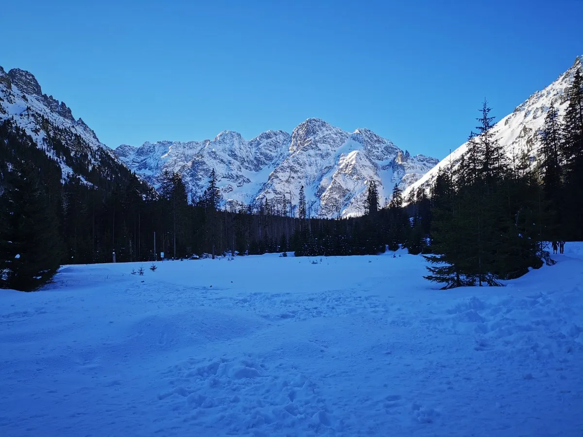 Parking Palenica Białczańska rezerwacja online