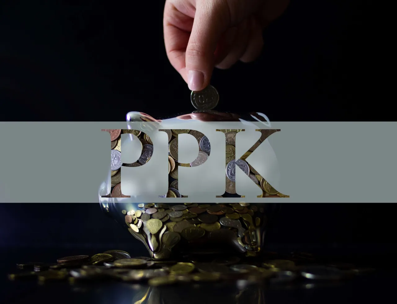 pracownicze plany kapitałowe logo