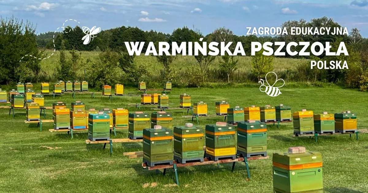 przykładowa zagroda edukacyjna w Polsce