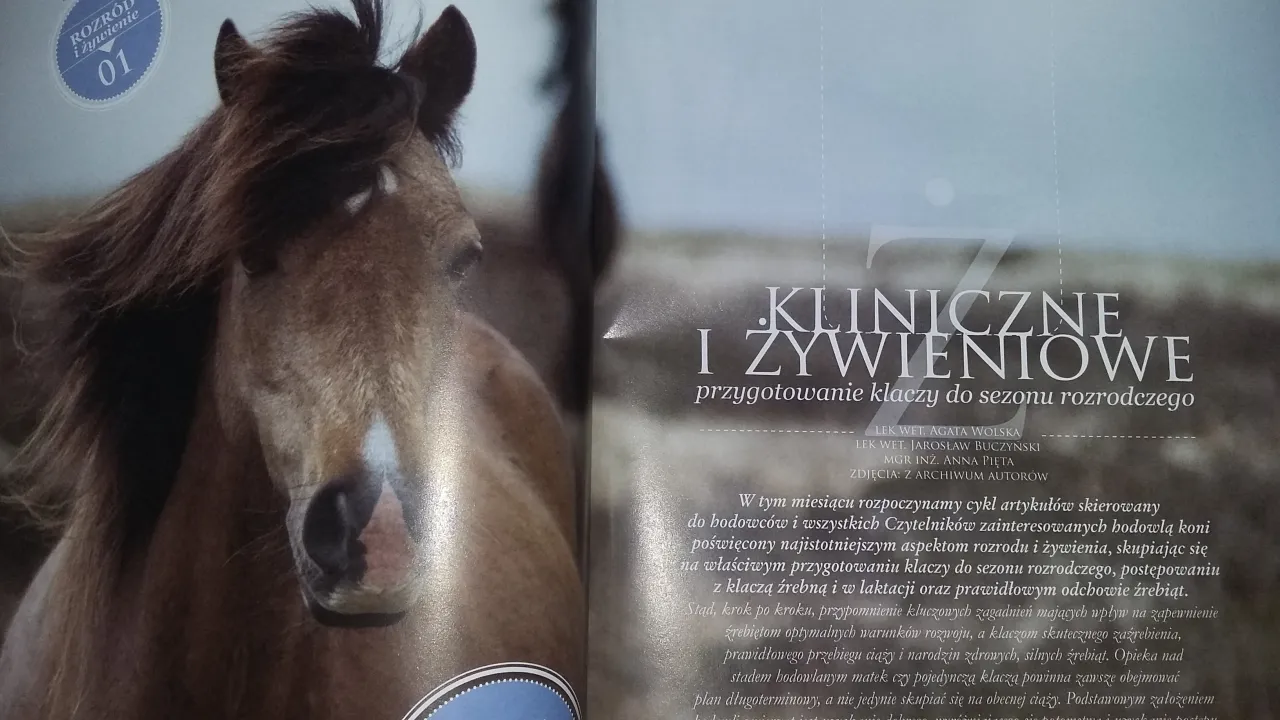 Cykl rozrodczy klaczy