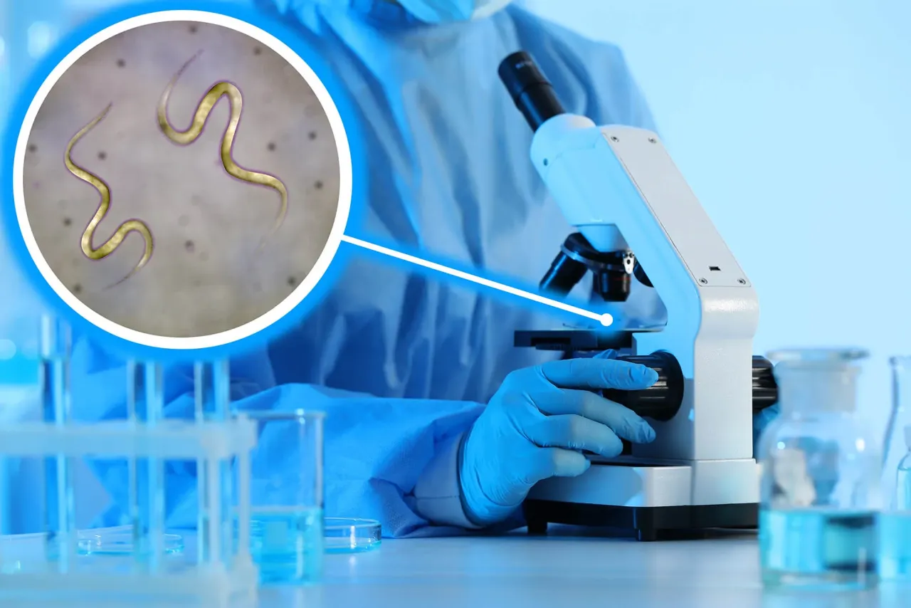 badanie kału na pasożyty laboratorium