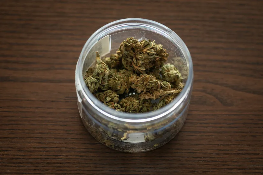 marihuana czarny rynek