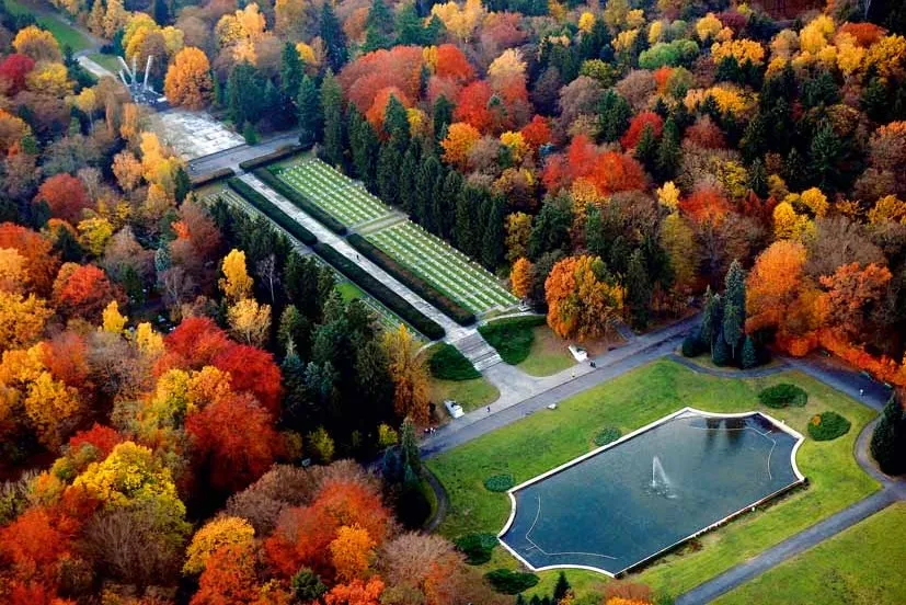 Cmentarz Centralny Szczecin roślinność egzotyczna