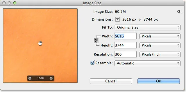 Adobe Photoshop Image Size dialog box