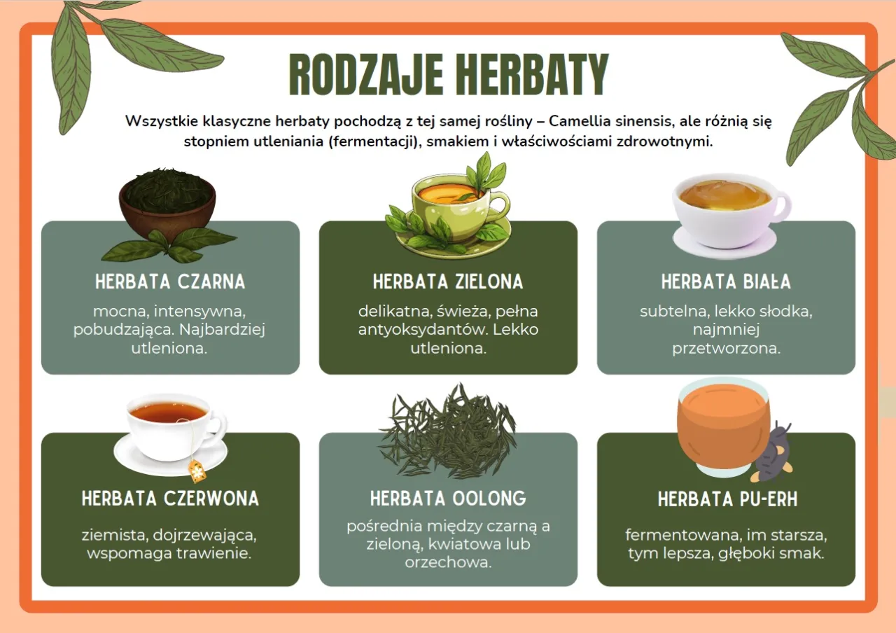 Por&oacute;wnanie herbat infografika