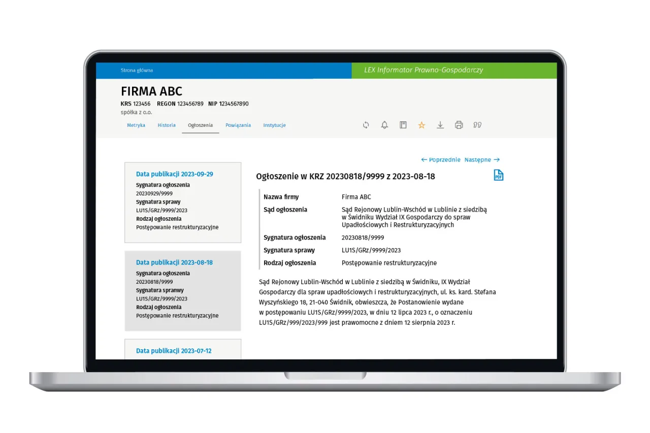 interfejs Krajowego Rejestru Zadłużonych