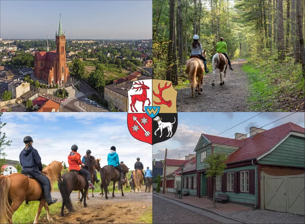 stadnina koni Zgierz, jazda konna Zgierz