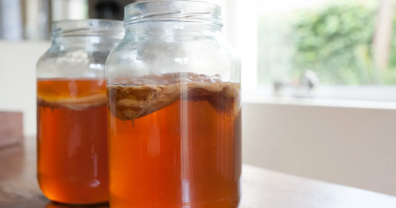 sprzęt do kombuchy słój