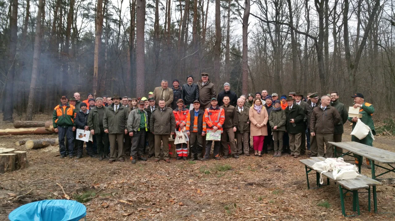 Diagram rzaz&oacute;w ścinki kierunkowej drzewa