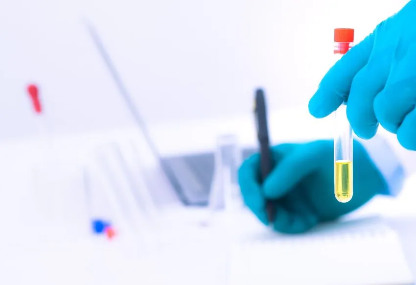 badanie moczu diagnostyka