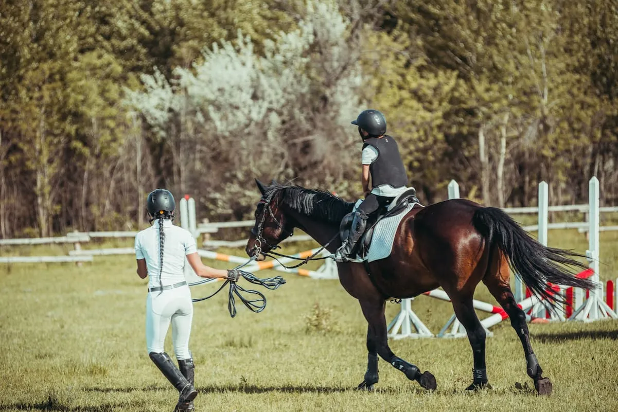 początkujący jeździec nauka jazdy konnej