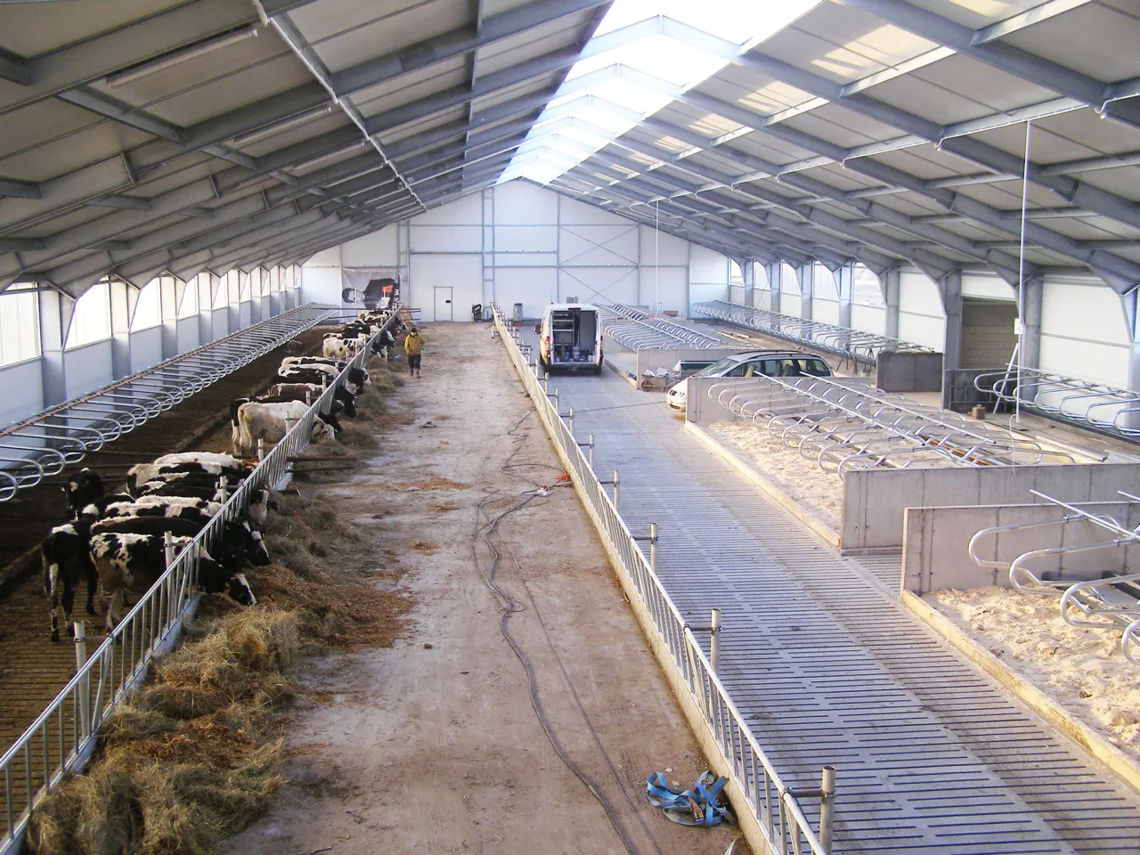 Nowoczesna obora wolnostanowiskowa dla kr&oacute;w mlecznych