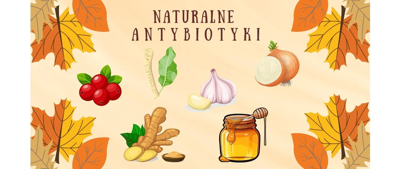 naturalne antybiotyki czosnek miód imbir żurawina