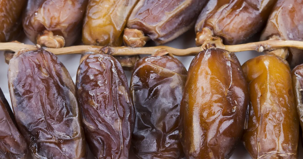 bezpiecznie przygotowane daktyle dla psa