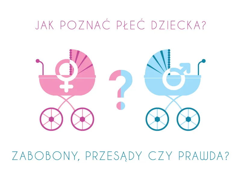 Zdjęcie Kiedy dokładnie można poznać płeć dziecka? Sprawdź, co musisz wiedzieć!