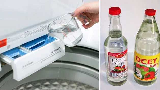 kobieta mocząca ubranie w misce z wodą i octem