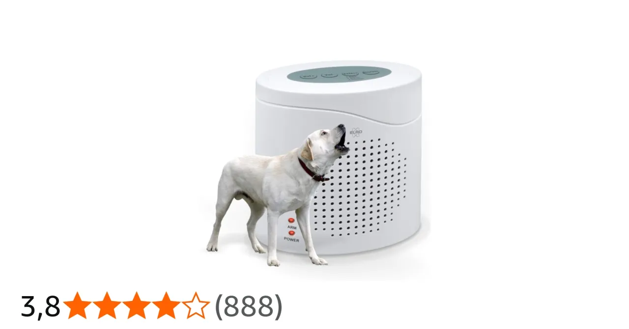 Pies wywołujący fałszywy alarm czujką ruchu