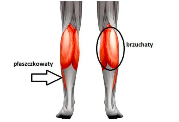 Zdjęcie Jak rozciągać łydki, aby uniknąć kontuzji i poprawić elastyczność