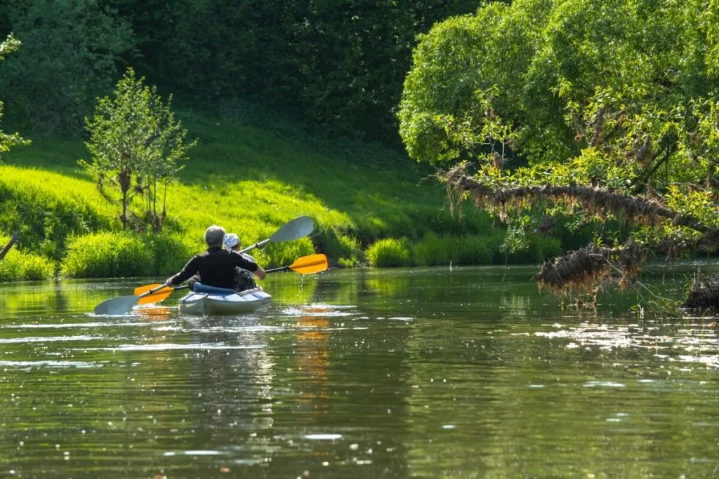 spływ kajakowy rzeka Wda krajobrazy