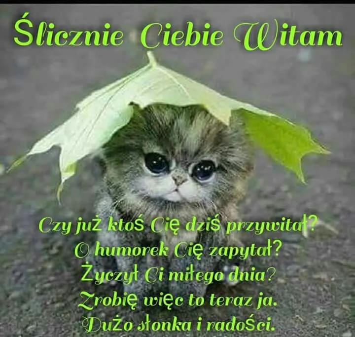 śmieszne memy miłego dnia do pobrania