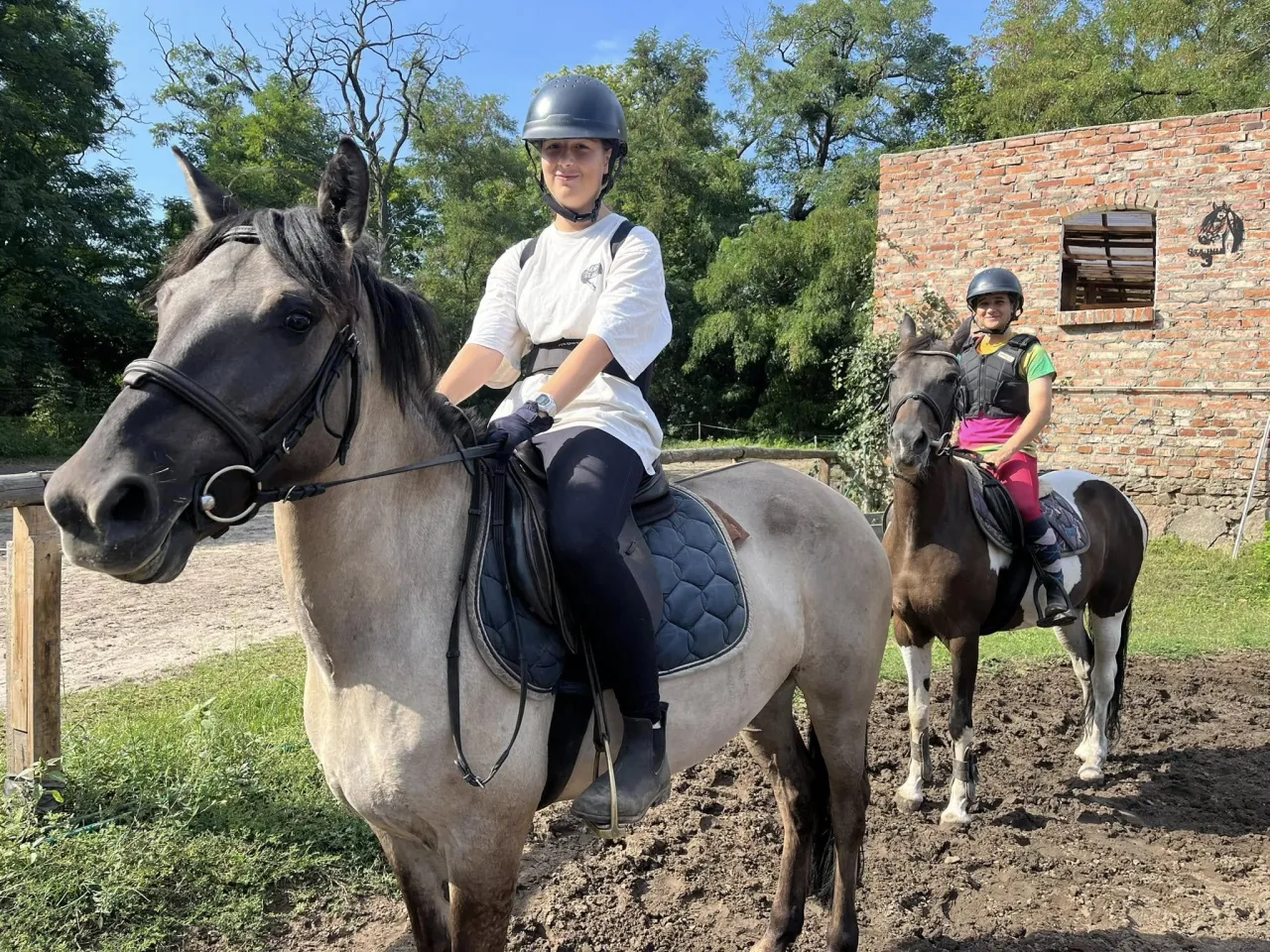 Lekcje jazdy konnej dla początkujących i zaawansowanych