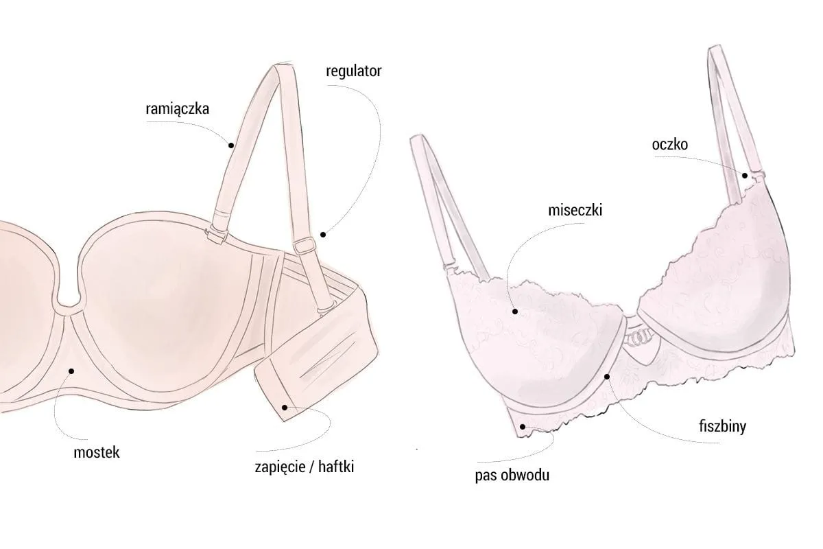 Jak prawidłowo zmierzyć się do stanika infografika