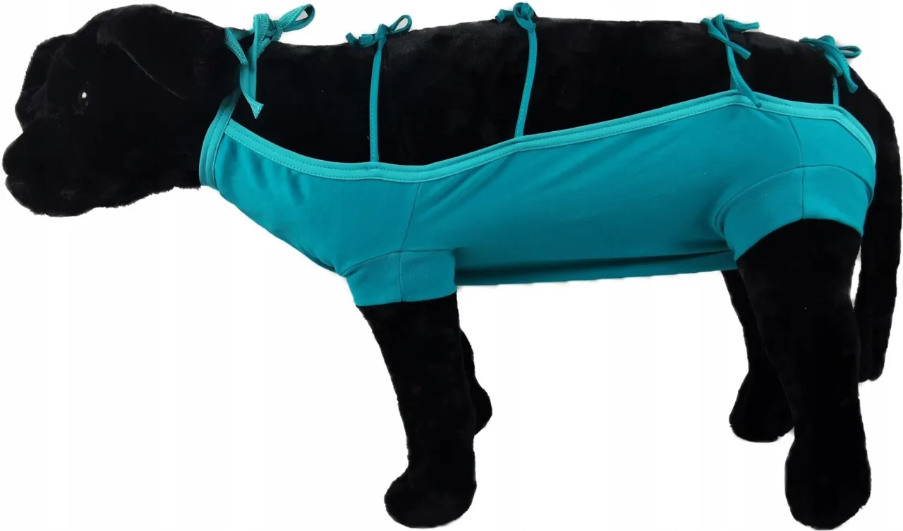 pies w ubranku pooperacyjnym wymiary