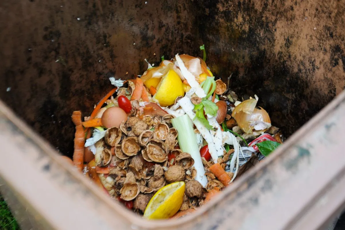 brązowy pojemnik na bioodpady przykłady