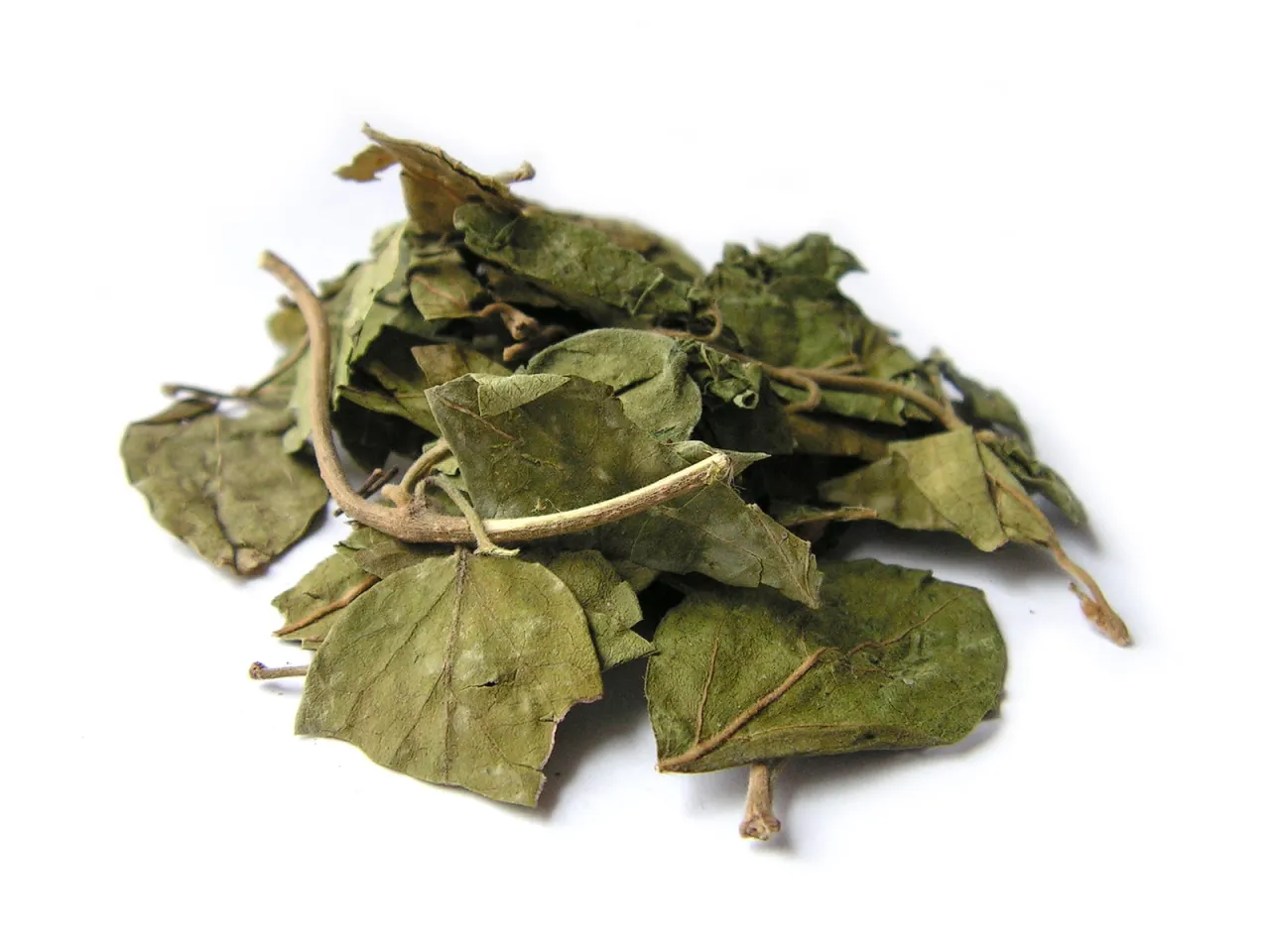 Gurmar liście herbata