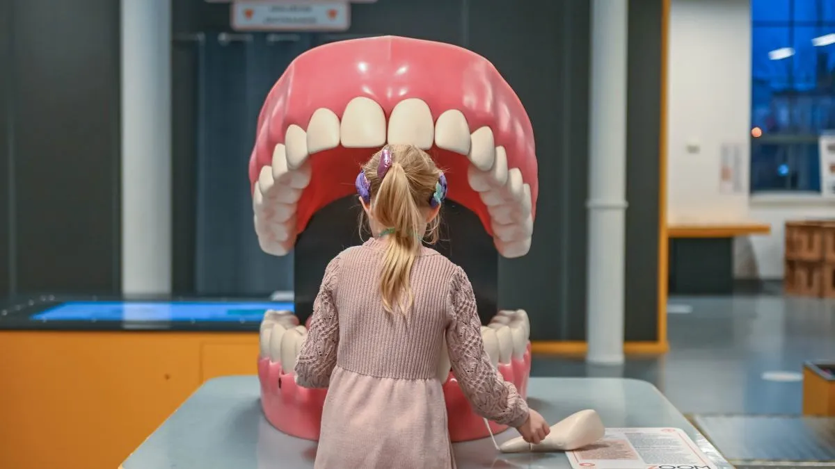 Dentysta NFZ vs prywatny porównanie