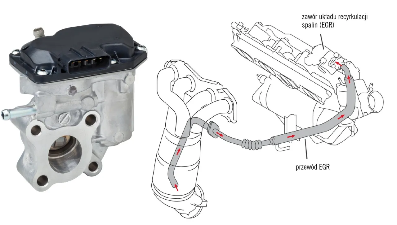 Zaw&oacute;r układu recyrkulacji spalin (EGR) i jego przew&oacute;d. Objawy awarii mogą być r&oacute;żne, np. nier&oacute;wna praca silnika.
