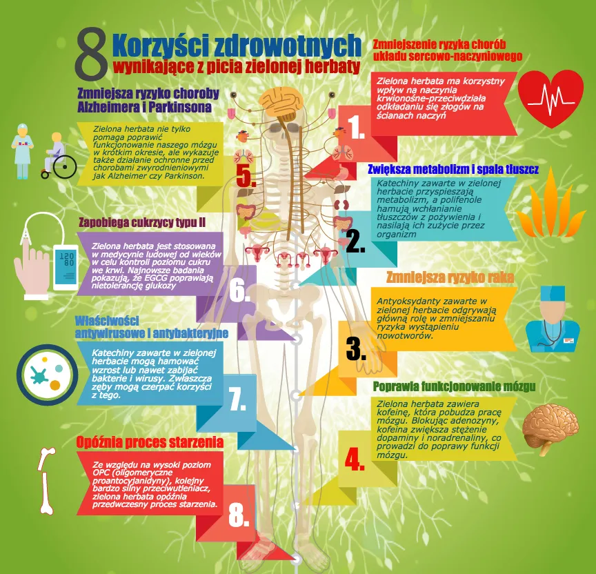 infografika korzyści zdrowotne zielonej herbaty