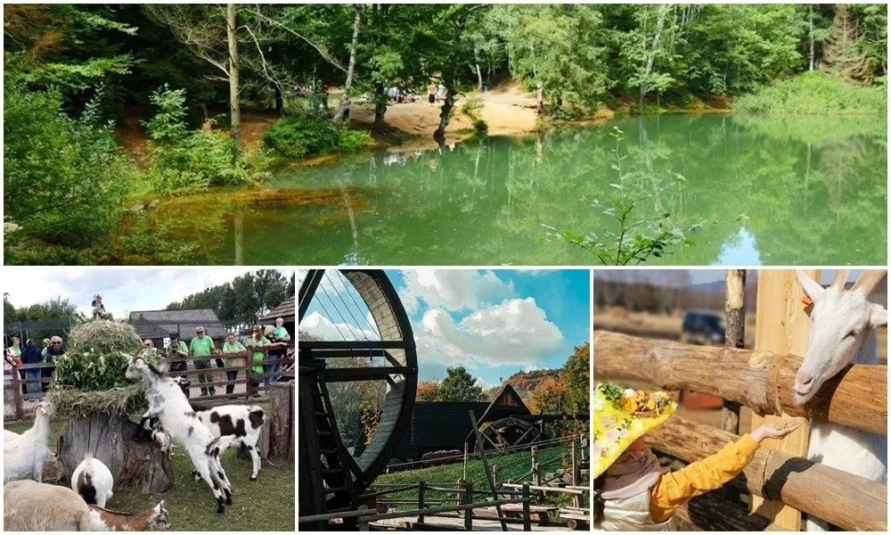 Zdjęcie Najlepsze miejsca na biwak z dzieckiem na Śląsku - atrakcje i udogodnienia