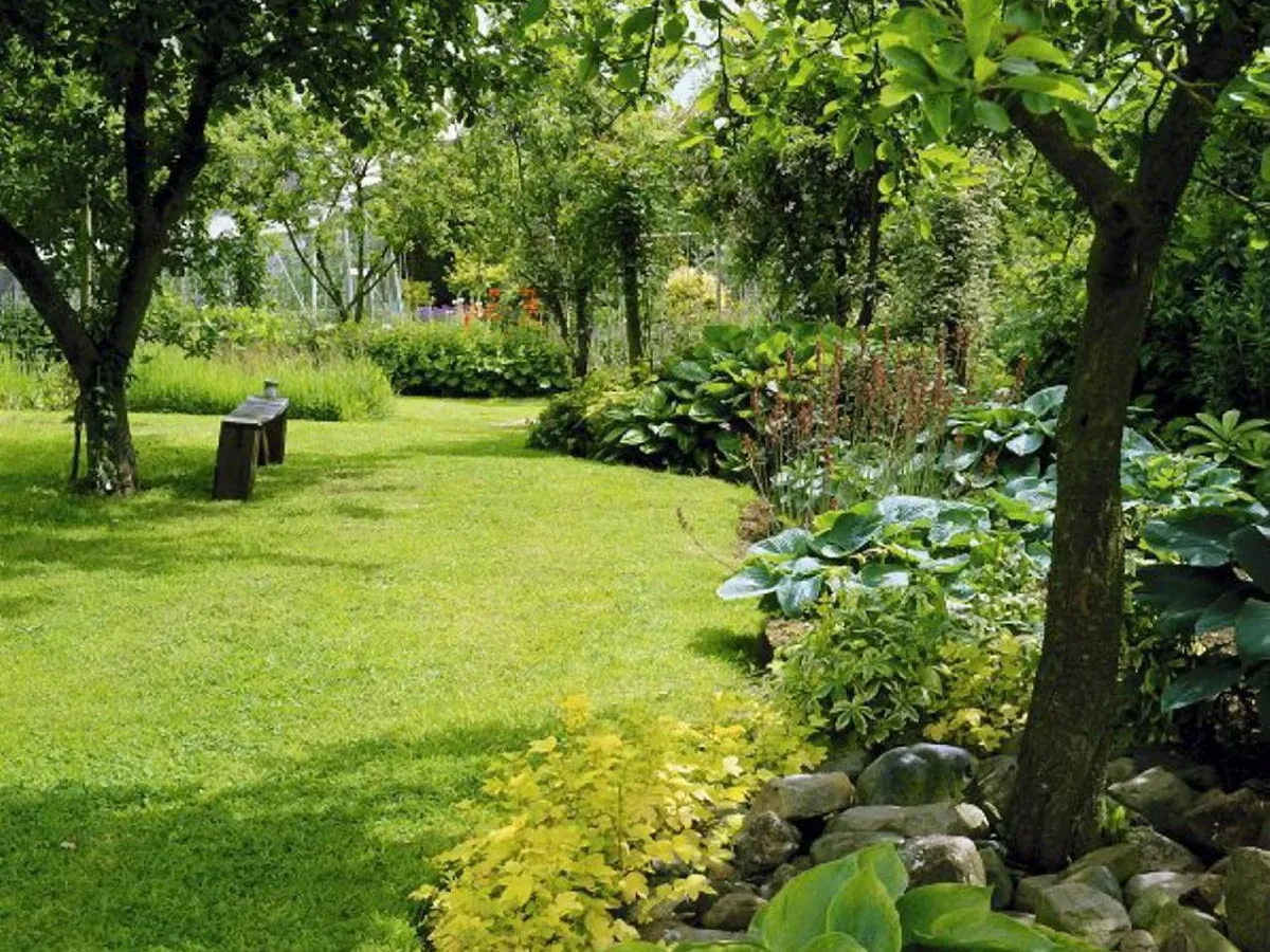 Drzewka owocowe kolumnowe i karłowe