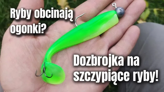 Zdjęcie Jak założyć haczyk na gumę, by uniknąć błędów i złowić więcej ryb