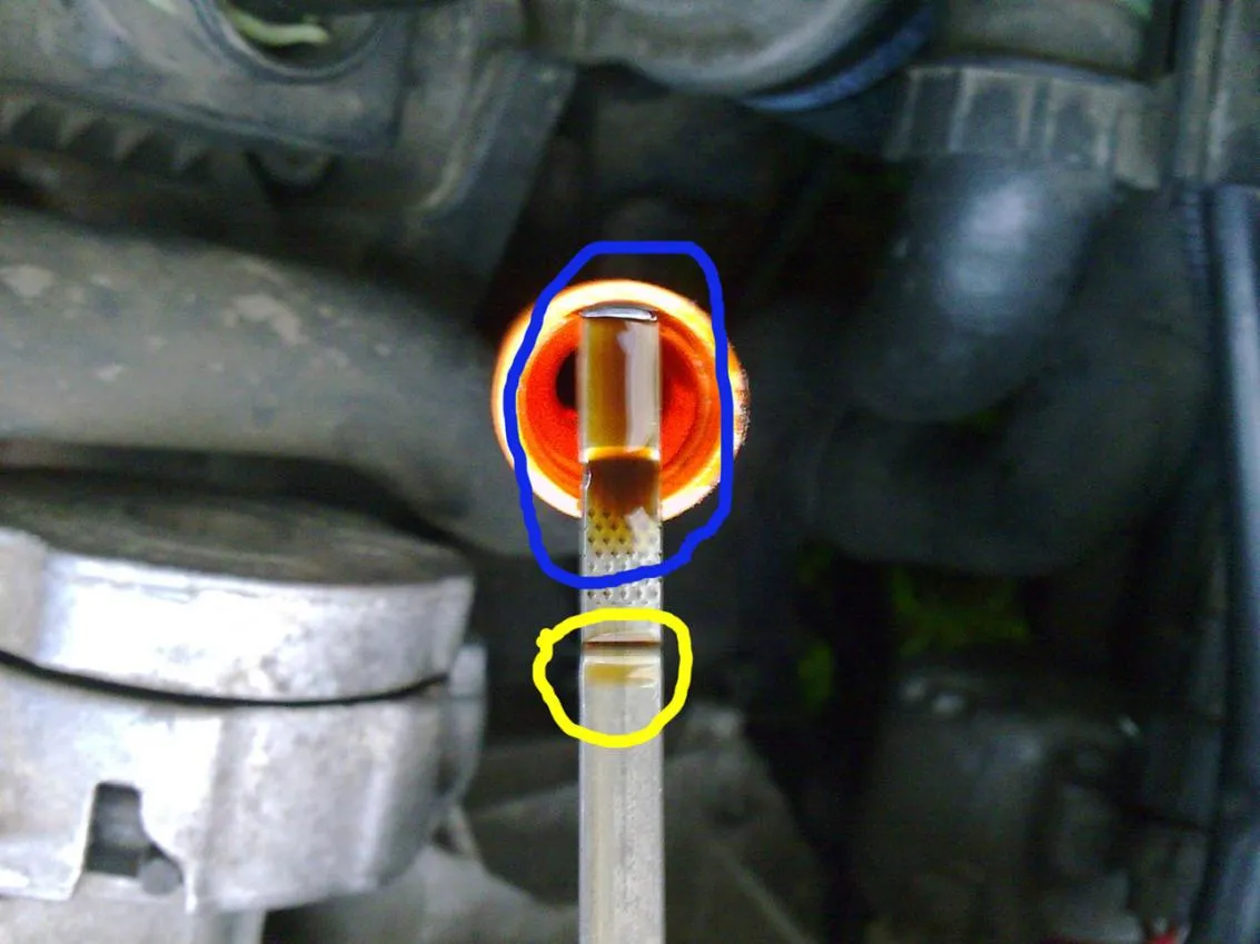 olej na bagnecie kawa z mlekiem vs czysty