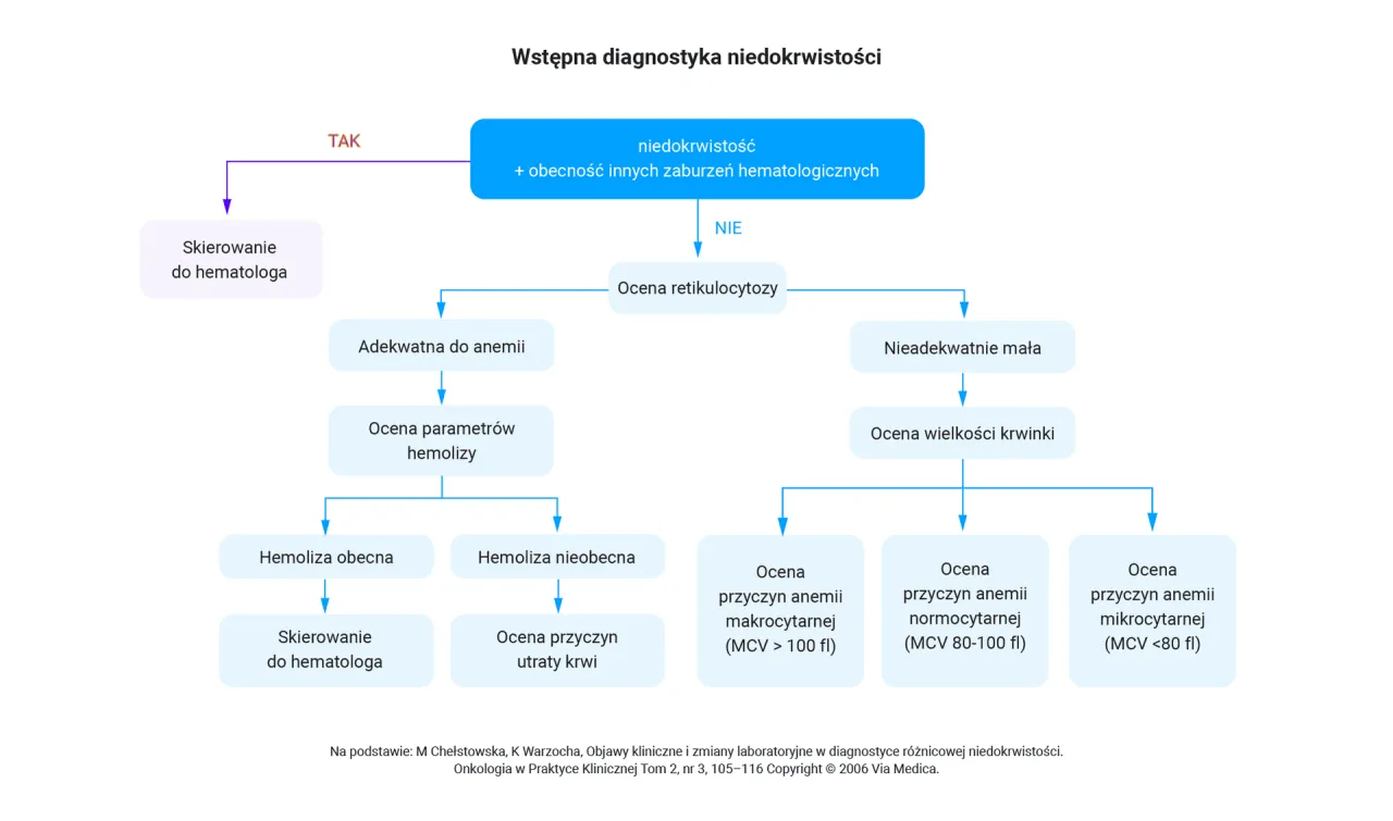 Rozmaz krwi obwodowej schemat