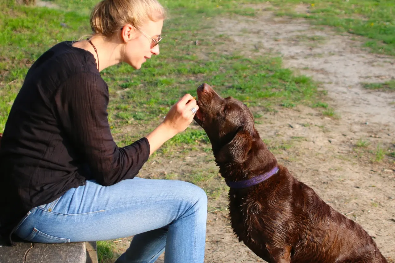 pozytywne wzmocnienie pies pierwotny