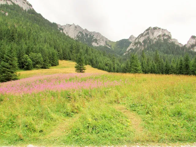 Dolina Kościeliska widok na góry