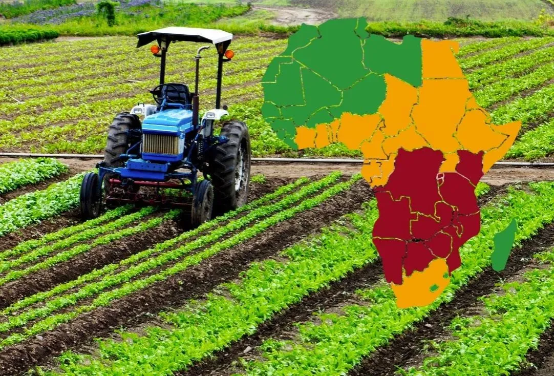 Agroleśnictwo Afryka zrównoważone rolnictwo