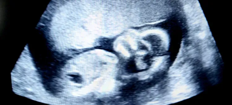 rozwój płuc mózgu dziecka 24 tydzień ciąży