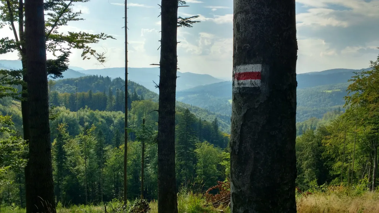 Oznakowanie szlaku pieszego PTTK